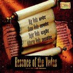 Essence Of The Vedas