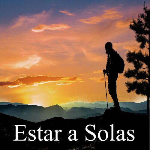 Estar a Solas_poster_image