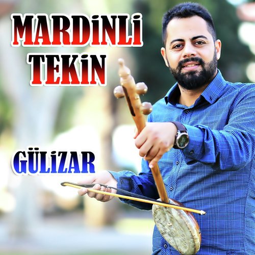 Gulizar cover art