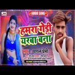 Hamra gedi yarba bana