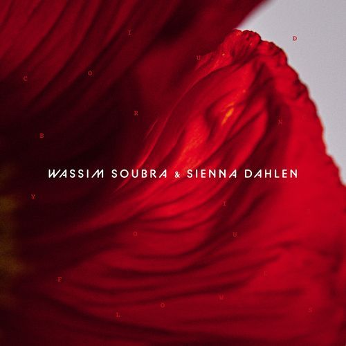 I Could Bring You Flowers cover art