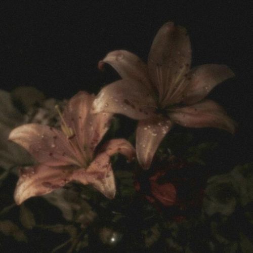 Lay All Your Love On Me (Slowed)