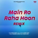 Main Ro Raha Hoon (Remix)