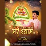 Najre Mila le Mere Shyam