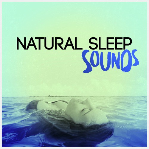 Birds in the Afternoon cover art