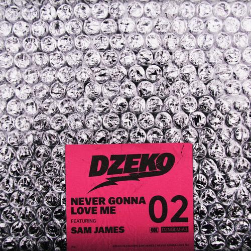 Never Gonna Love Me (feat. Sam James)