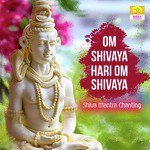 Om Shivaya Hari Om Shivaya (Shiva Mantra Chanting) - Single