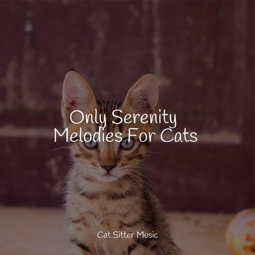 Only Serenity Melodies For Cats