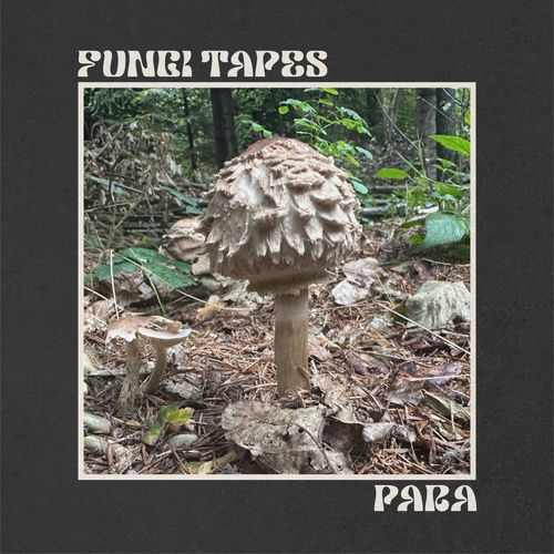 Para