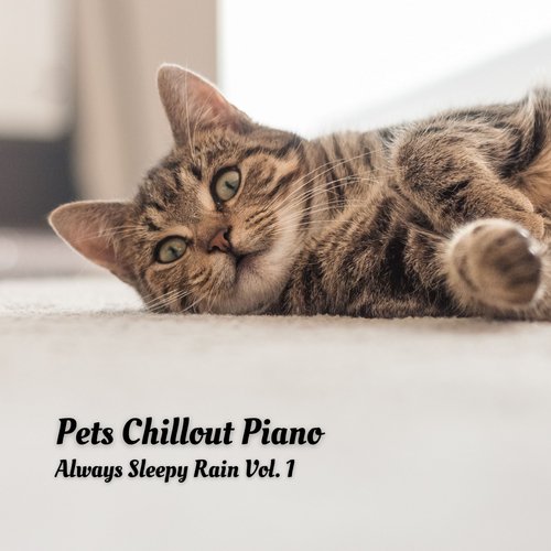 Pets Chillout Piano: Always Sleepy Rain Vol. 1_poster_image