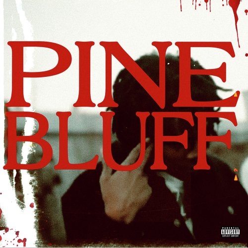 Pine Bluff_poster_image