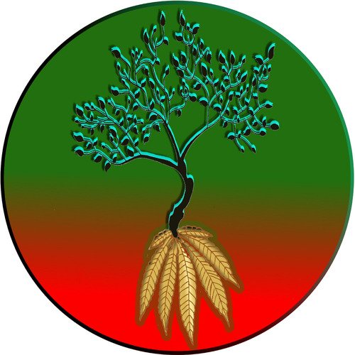 Cxc cover art