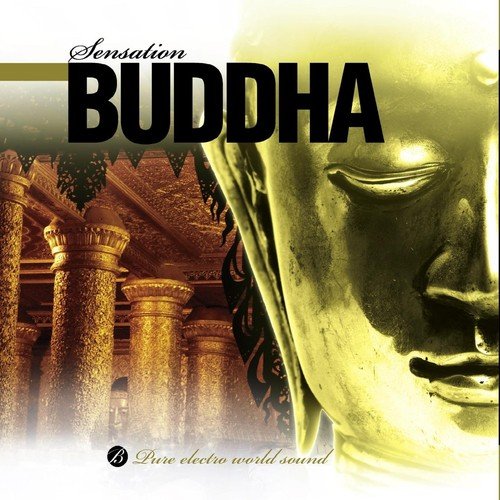 Sensation Buddha (Electro World Bar Music)