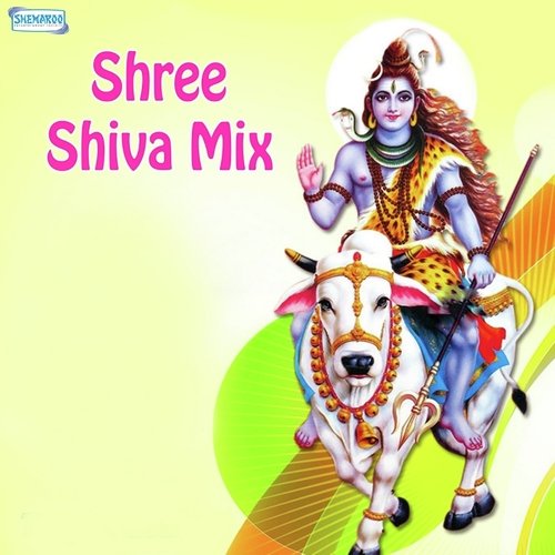 Shree Shiva Mix