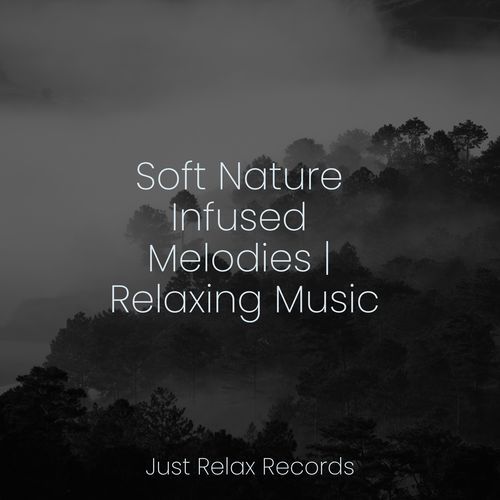 Soft Nature Infused Melodies | Relaxing Music