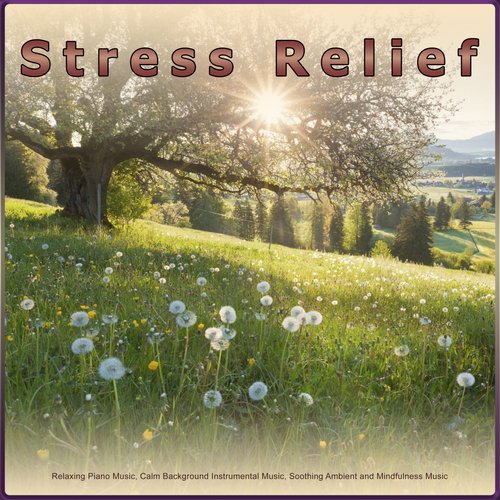 Stress Relief: Relaxing Piano Music, Calm Background Instrumental Music, Soothing Ambient and Mindfulness Music_poster_image