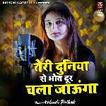 Teri Duniya Se Bhot Dur Chala Juanga