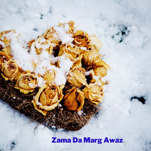Zama Da Marg Awaz