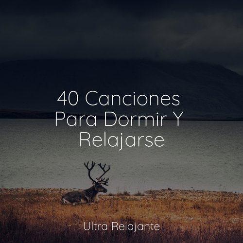 40 Canciones Para Dormir Y Relajarse