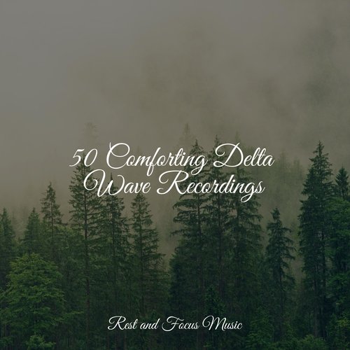 50 Comforting Delta Wave Recordings_poster_image