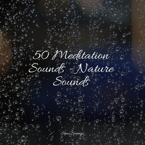 50 Meditation Sounds - Nature Sounds