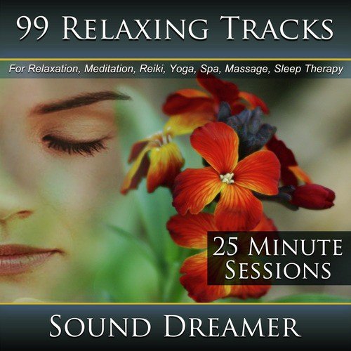 99 Relaxing Tracks (25 Minute Sessions) [For Relaxation, Meditation, Reiki, Yoga, Spa, Massage and Sleep Therapy]_poster_image