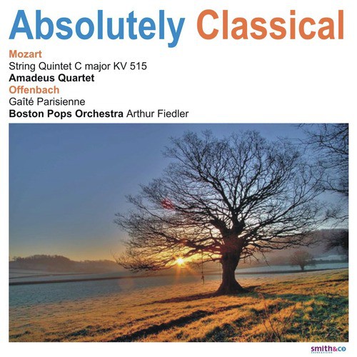 String Quintet in C Major, KV 515: IV. Allegro