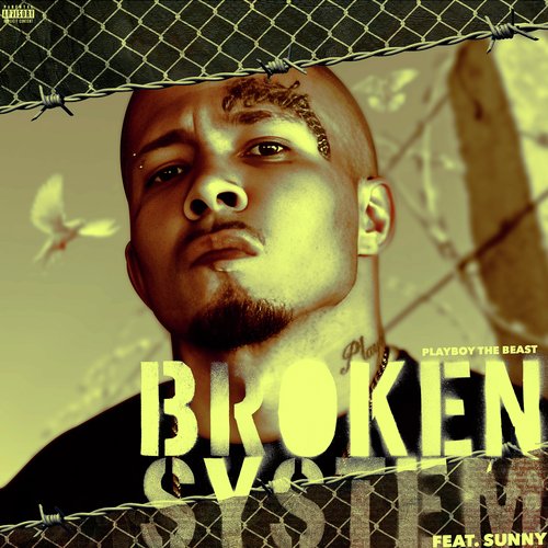 Broken System_poster_image