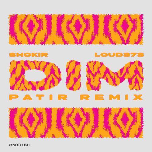 DIM (PATIR Remix) cover art