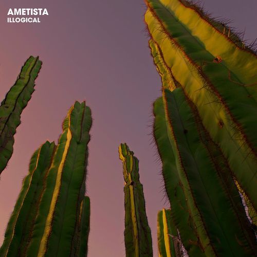 Linnea cover art
