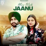 Jaanu Mere Wala