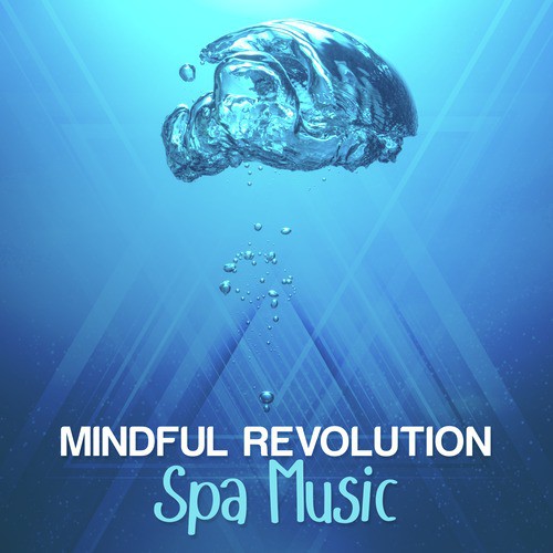 Mindful Revolution: Spa Music