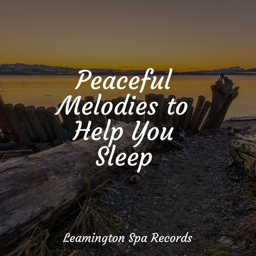Lazy Morning cover art