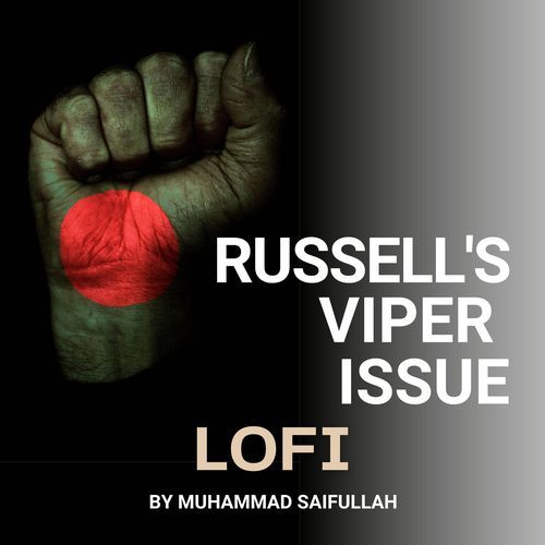 Russell's Viper Issue (LOFI)