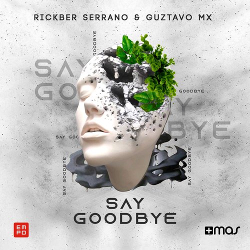 Say Goodbye_poster_image