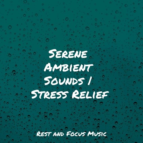 Serene Ambient Sounds | Stress Relief