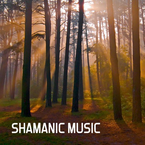 Shamanic Music