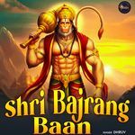 Shri Bajrang Baan