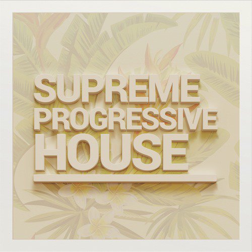 Supreme Progressive House_poster_image