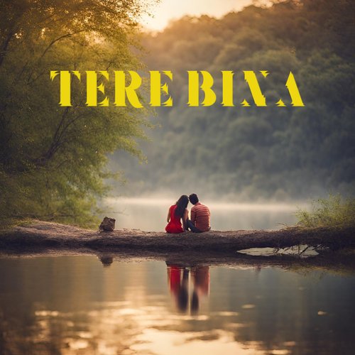 Tere Bina