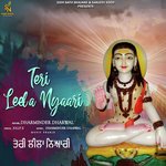 Teri Leela Nyaari