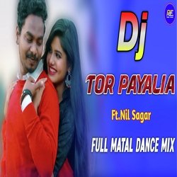 Tor Paayaliaa Dj-SRpGCBgGUWU