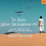 Ye Hain Mere Muhammad (Slowed Reverb)