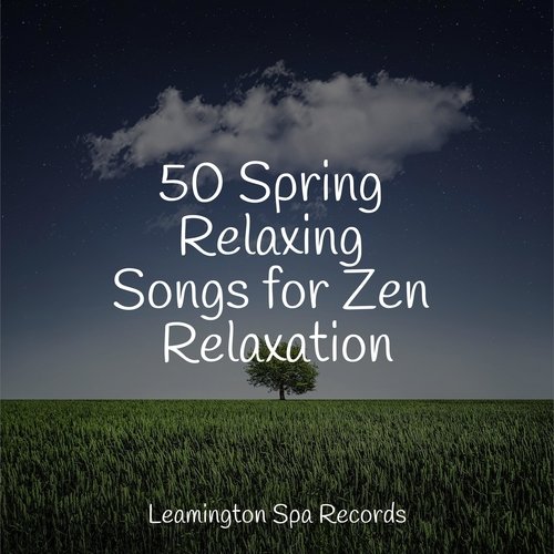 50 Spring Relaxing Songs for Zen Relaxation