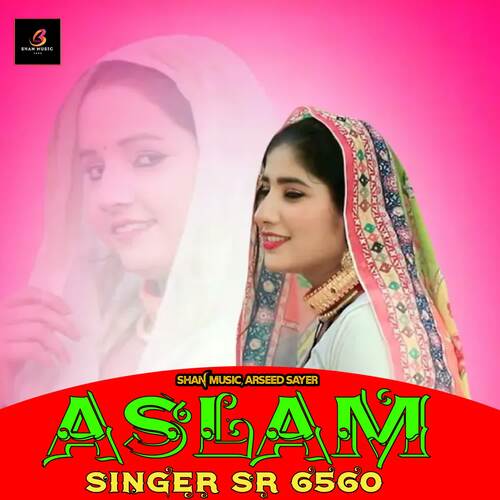 Aslam Singer SR 6550