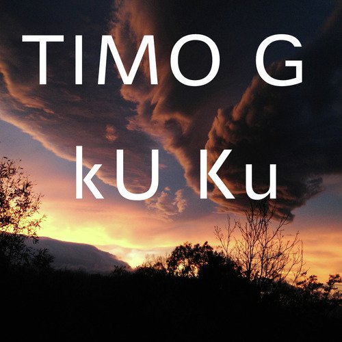  Timo G