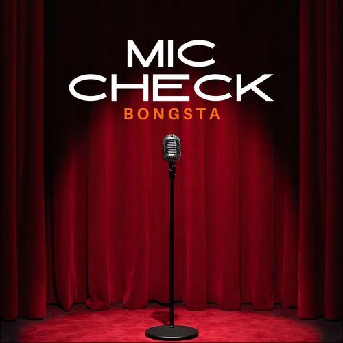 Mic Check