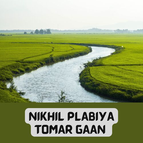 NIKHIL PLABIYA TOMAR GAAN cover art
