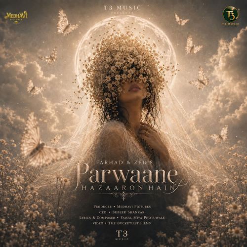 Parwaane Hazaaron Hain