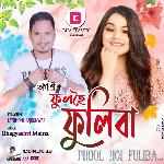 Phul Hoi Fuliba